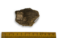 F 22152
<br/>
<br/>
<em></em>